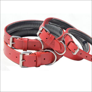 Lined And Padded Leather Collars